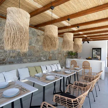 Apartahotel Myconian Theros Luxury Ano Mera