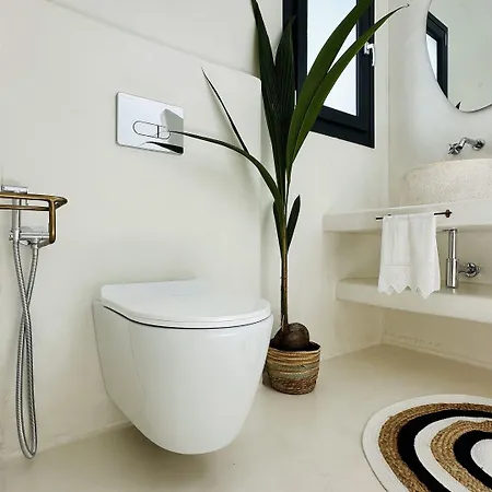 Myconian Theros Luxury Appart hôtel Ano Mera